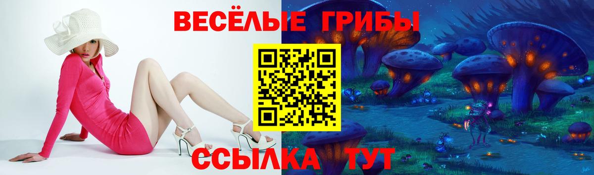 Галлюциногенные грибы MAGIC MUSHROOMS Новороссийск